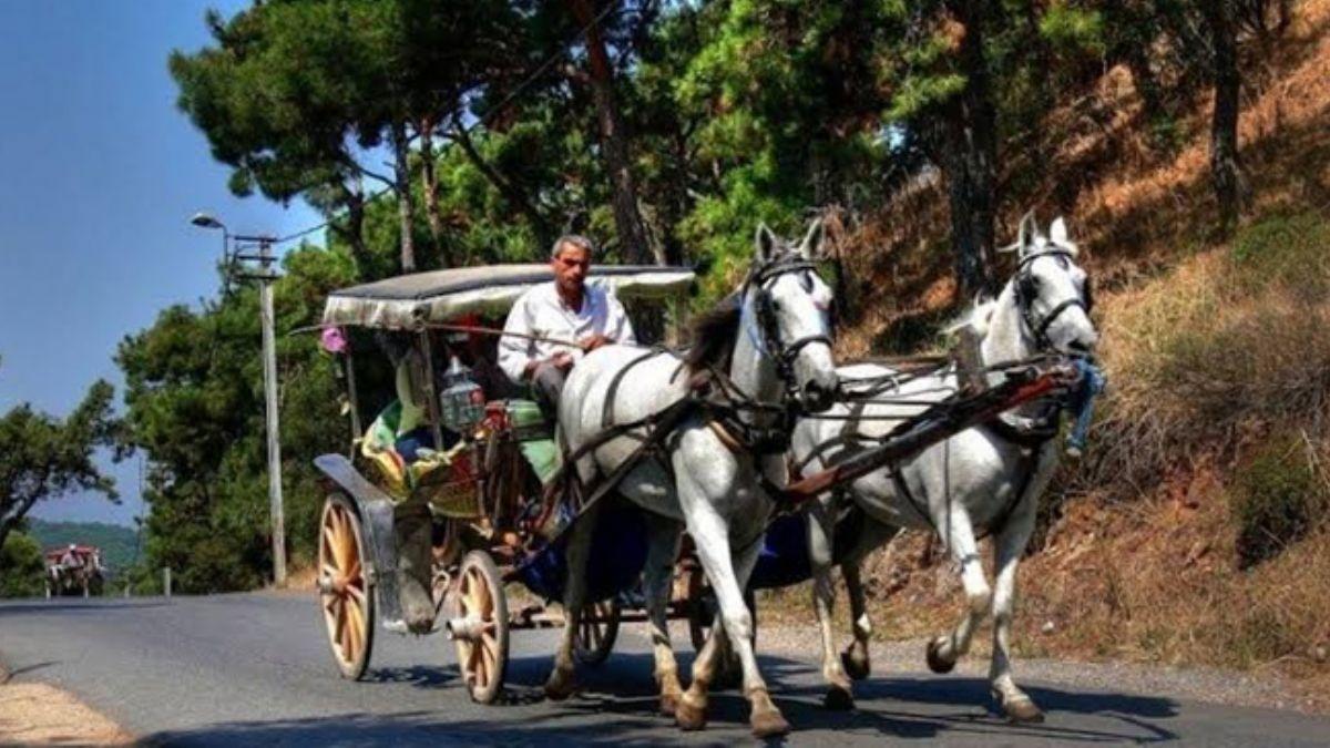 Adalar'da fayton turlar durduruldu