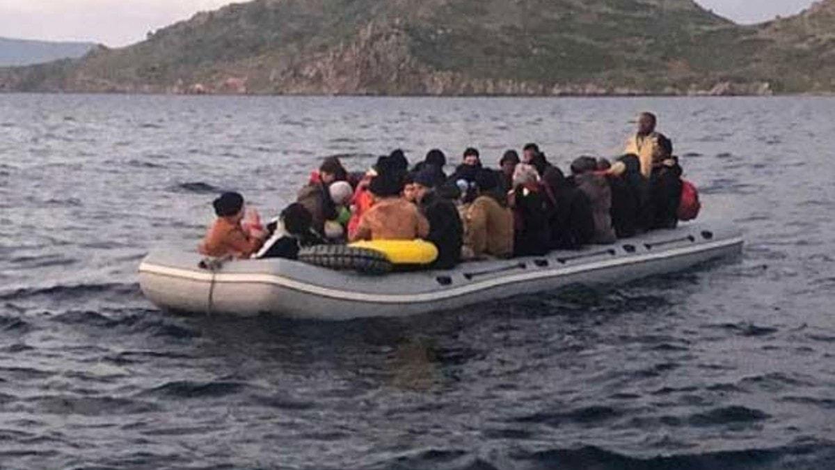 Bodrum aklarnda 31 kaak gmen yakaland