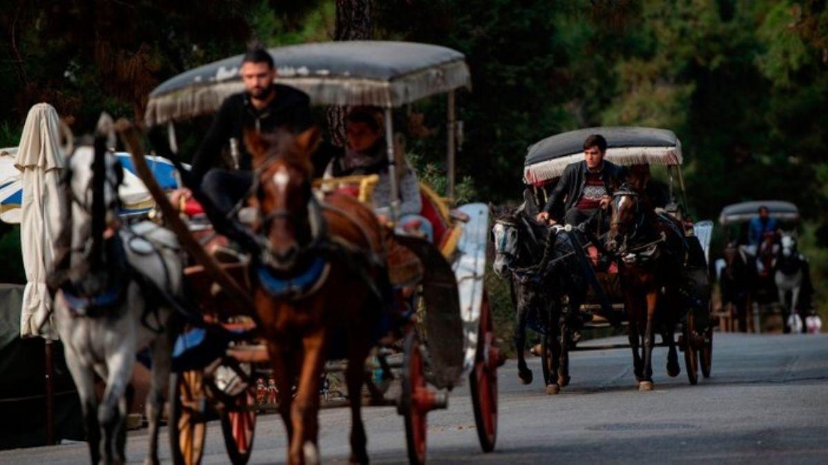 Adalar' 'ruam' vurdu! Rezervasyonlar iptal oluyor