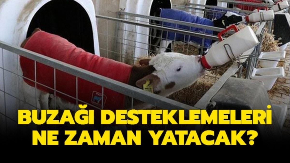 2018 2. dnem buza desteklemeleri yatt m" 