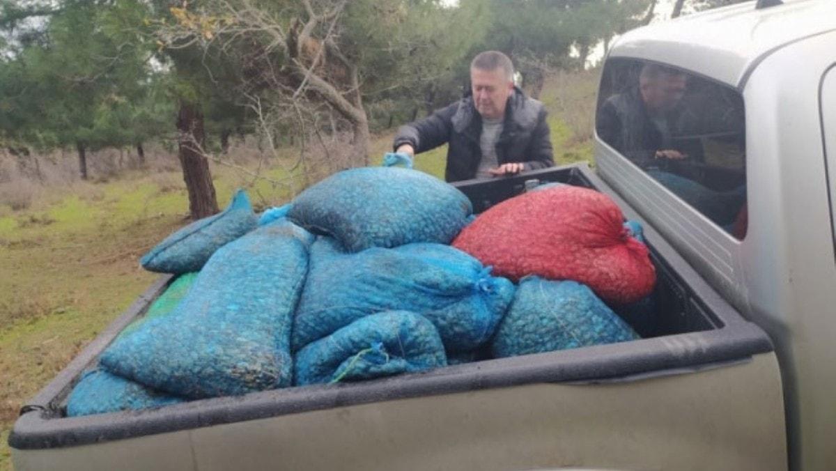 Edirne'de kaak toplanan 15 ton kum midyesi ele geirildi