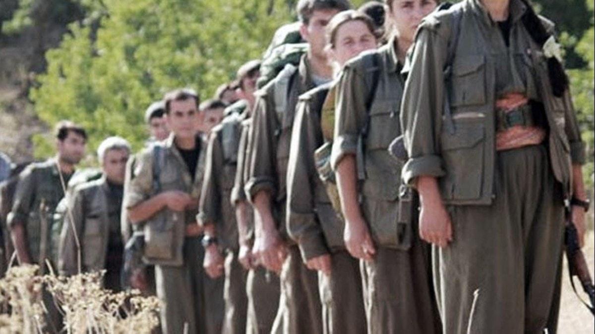 PKK'da zlmeler devam ediyor! 5 terrist teslim oldu