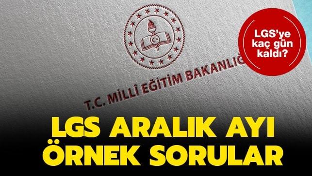 LGS'ye kaç gün kaldı 2020? MEB LGS Aralık ayı örnek ...