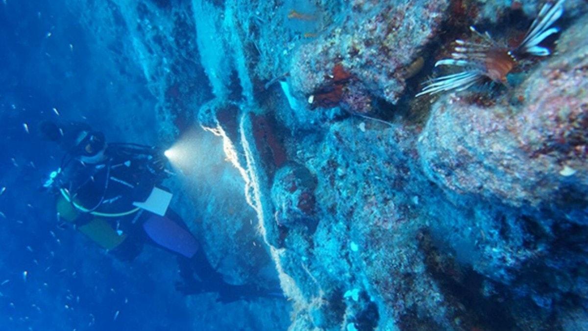 Tarihi yeniden yazdracak keif! Dnyada 5 rnei vard, Antalya'da yzlerce bulundu