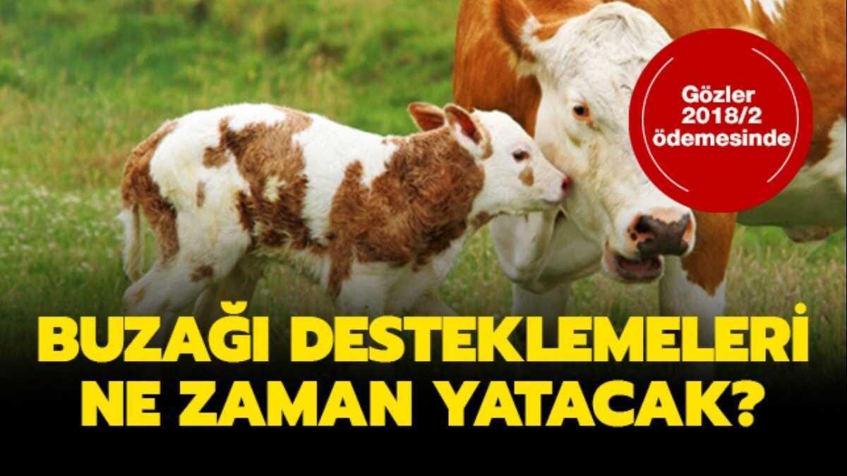 2018 2 Donem Buzagi Destekleri Yatti Mi