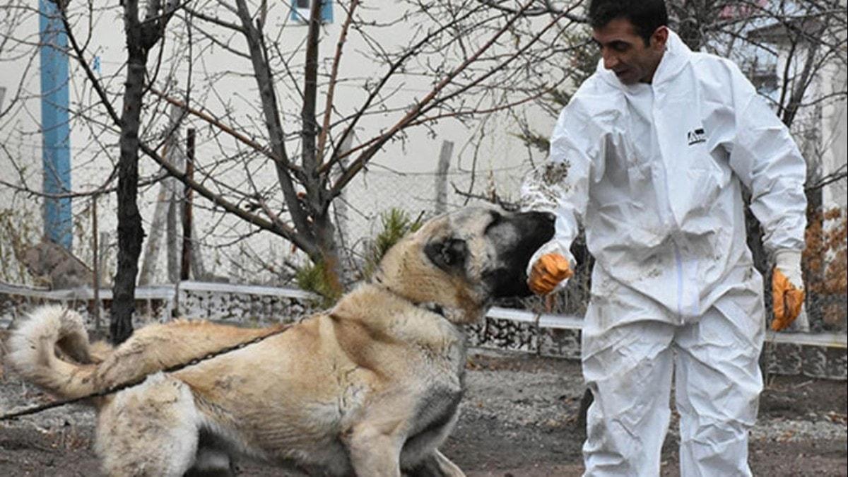 'Herkl'e paha biemiyor! '100 bin lira verseler satmam'