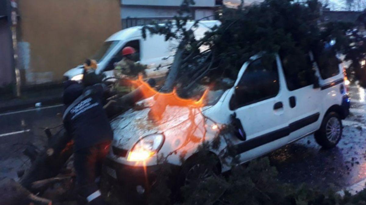 stanbul'da frtna ve iddetli ya!  Evleri su bast, aalar devrildi... Meteoroloji'den yeni uyar