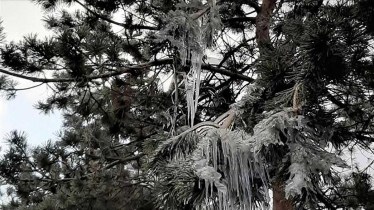 Meteoroloji'den buzlanma ve don uyars