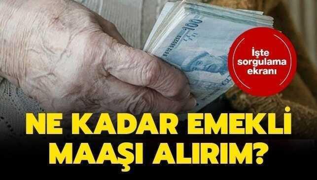 Ne kadar emekli maaşı alırım"