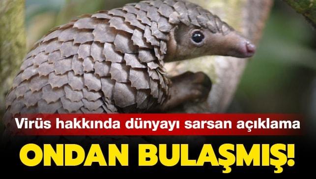 Virs hakknda dnyay sarsan aklama! Ondan bulam...