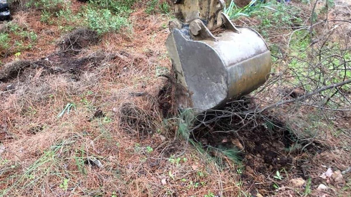 Tekirda'da ormanlk alanda kemik paralar bulundu