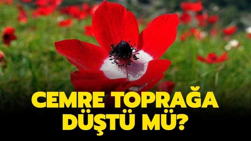 Son cemre toprağa düştü mü"