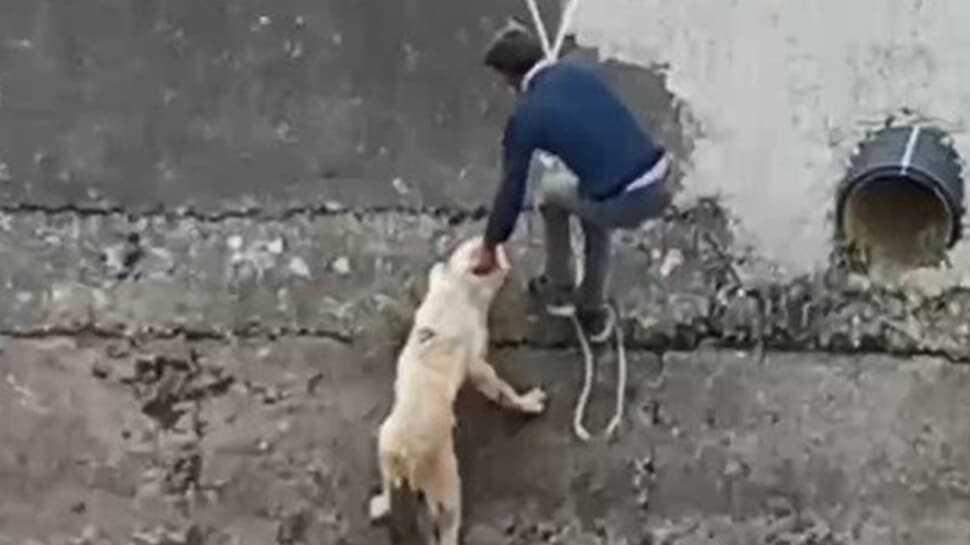 Su kanalına düşen köpeği itfaiye erleri gibi kurtardılar