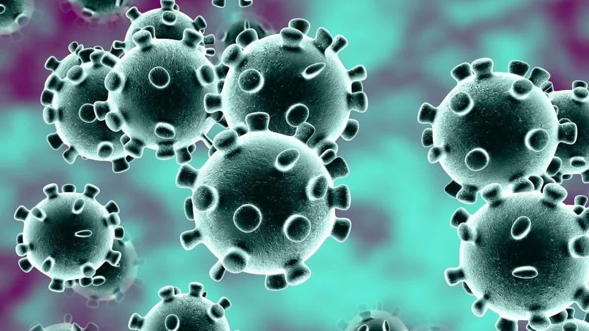 Salk Bakanl, koronavirsle ilgili tm cevaplar ieren bir video paylat