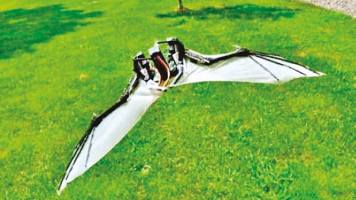 Sese duyarlı yarasa drone