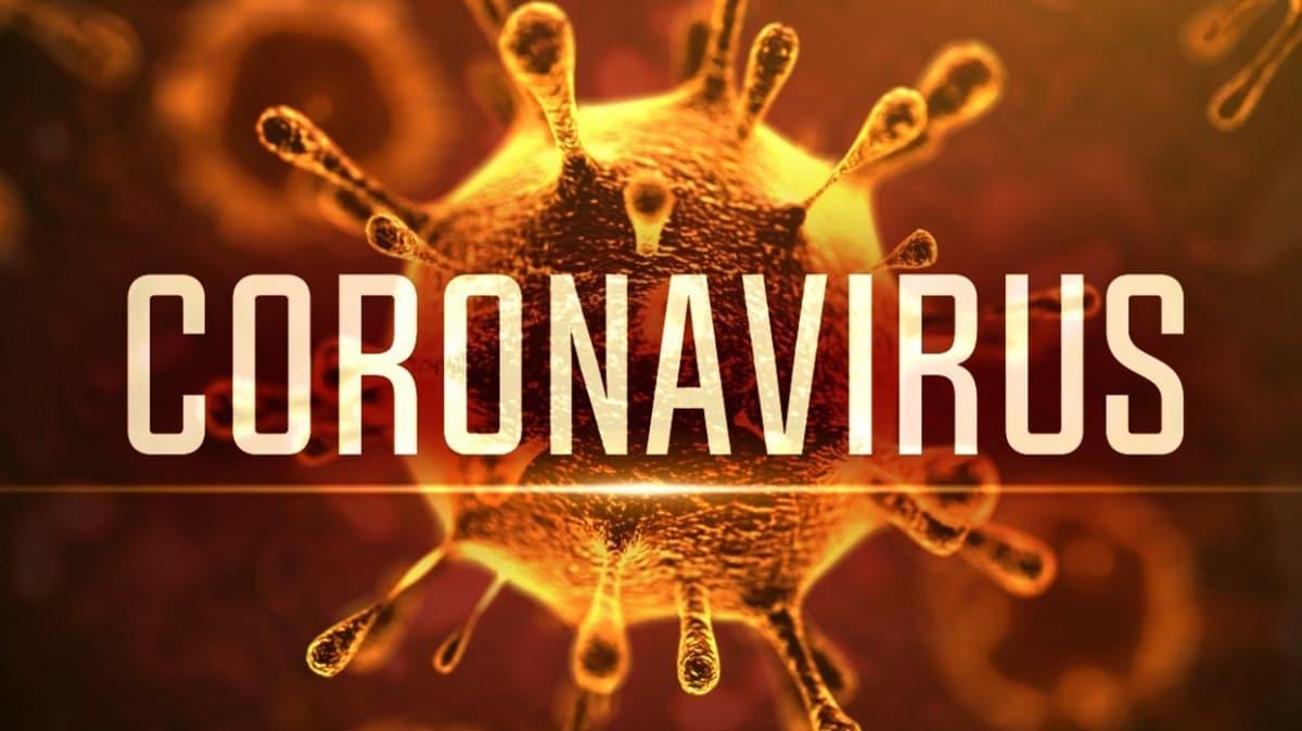 Coronavirs nasl bular, belirtileri nelerdir" Corona virs nedir"