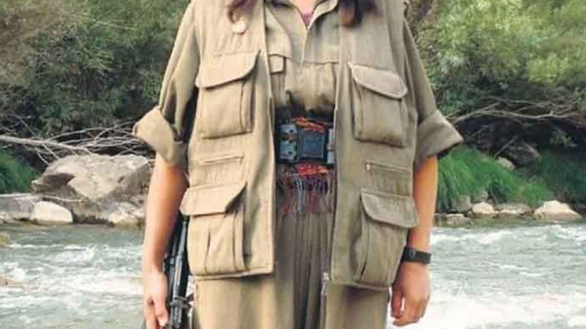 Jandarmann ikna ettii PKK'l terrist teslim oldu
