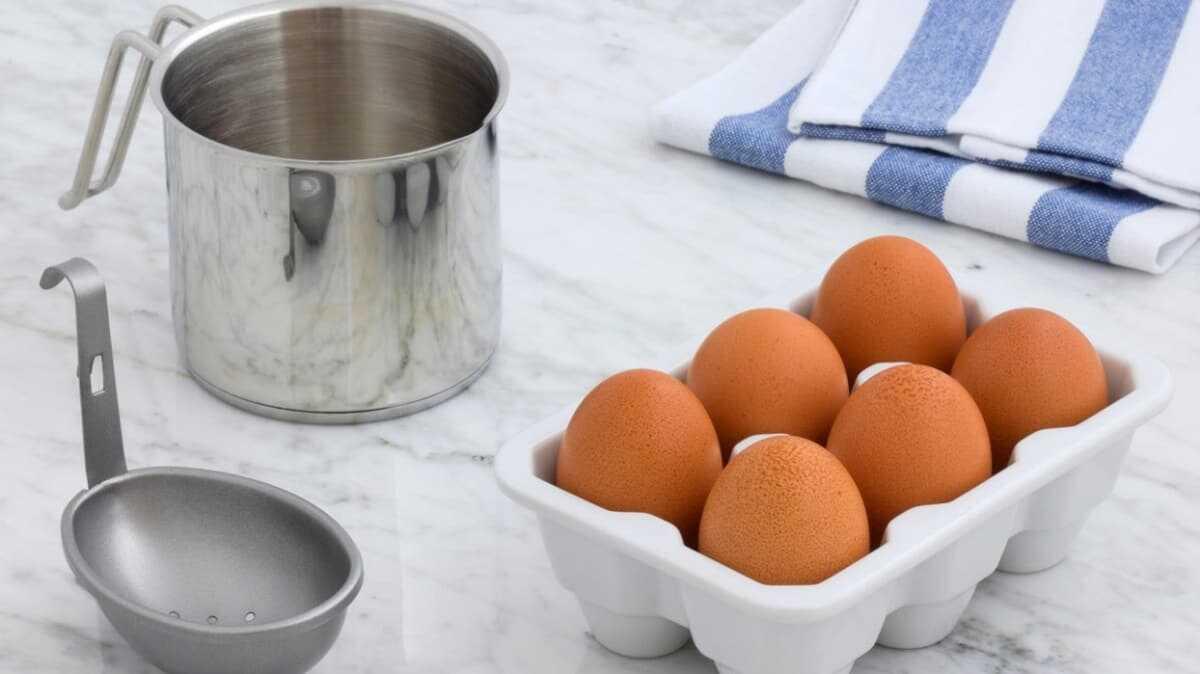Mimoza salatasnn yapl ve pf noktas