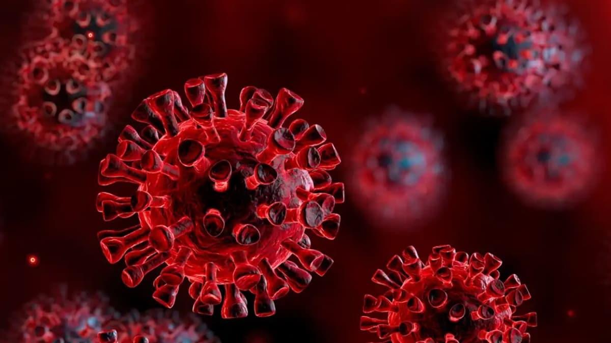 ABD'de uzmanlardan dikkat eken yorum: Koronavirs neden SARS'tan daha tehlikeli"
