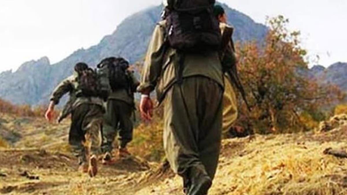 Bitlis'te etkisiz hale getirilen 3 PKK'l terristten birinde koronavirs tespit edildi