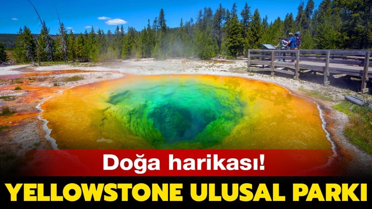 Yellowstone park nedir, nerededir" Yellowstone yanarda patlayacak m" 