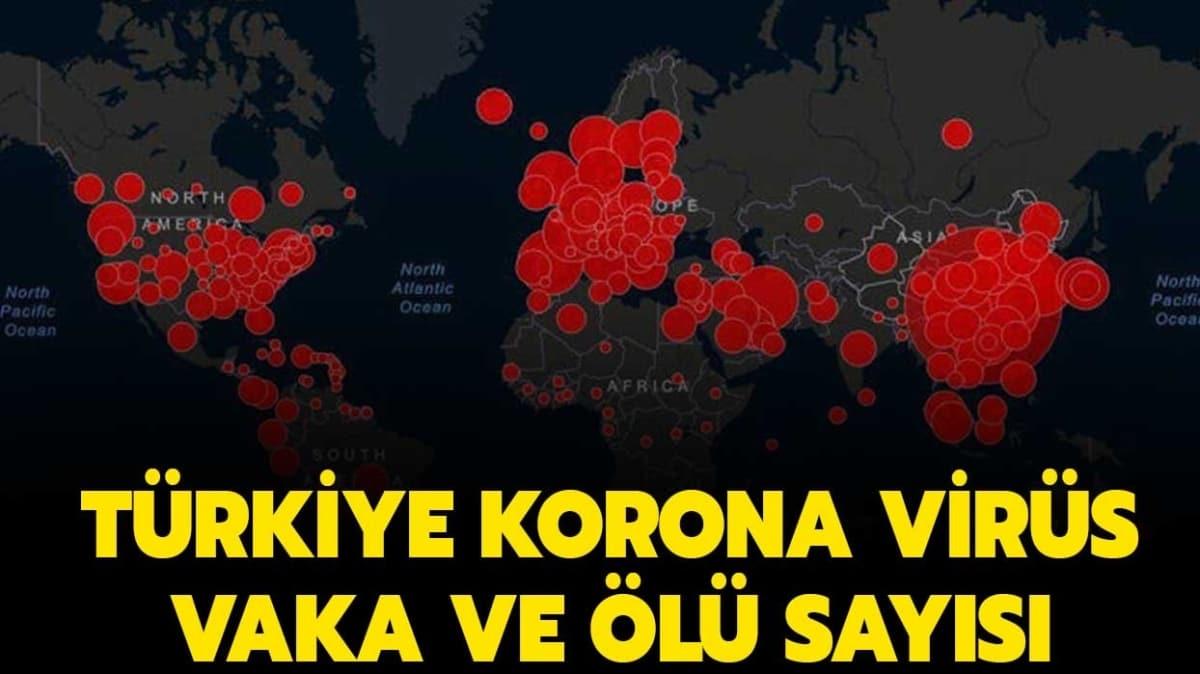 Trkiye coronavirs vaka says ka oldu" 