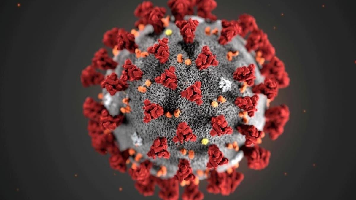 Bilim insanlar koronavirsle ilgili nemli bir bulguya ulat: te koronavirs 5 dakikada ldrecek scaklk