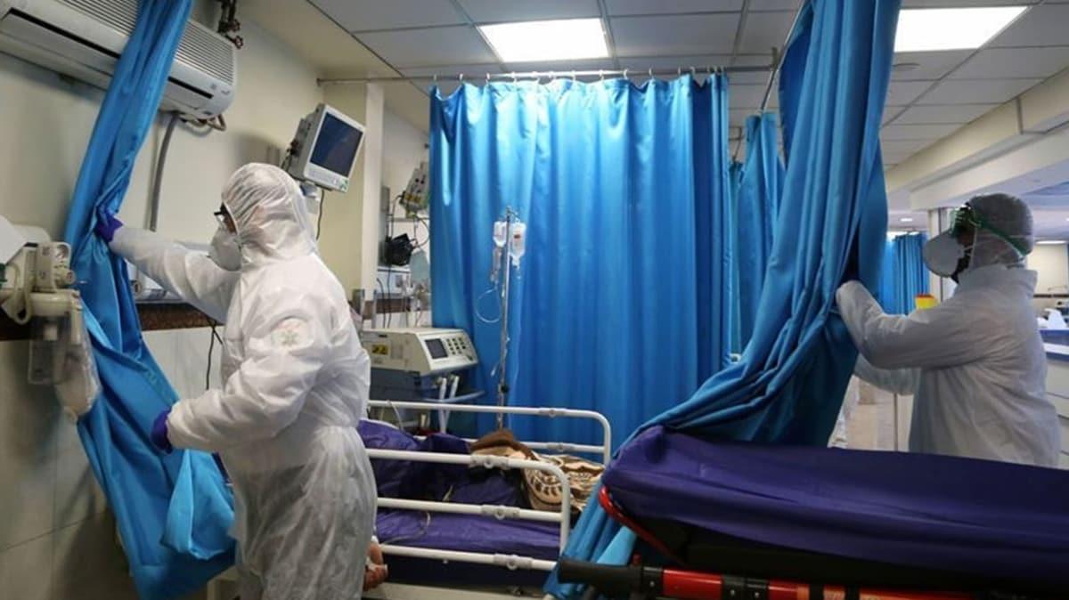Rize'de koronavirs nedeniyle tedavi gren 5 kii taburcu edildi