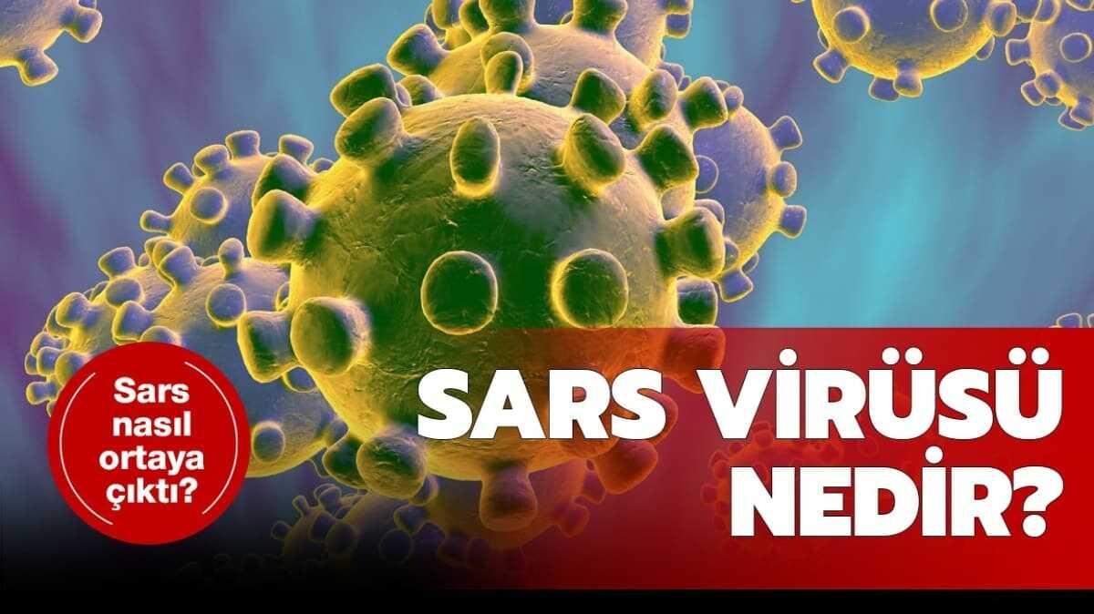 Sars virs nedir"