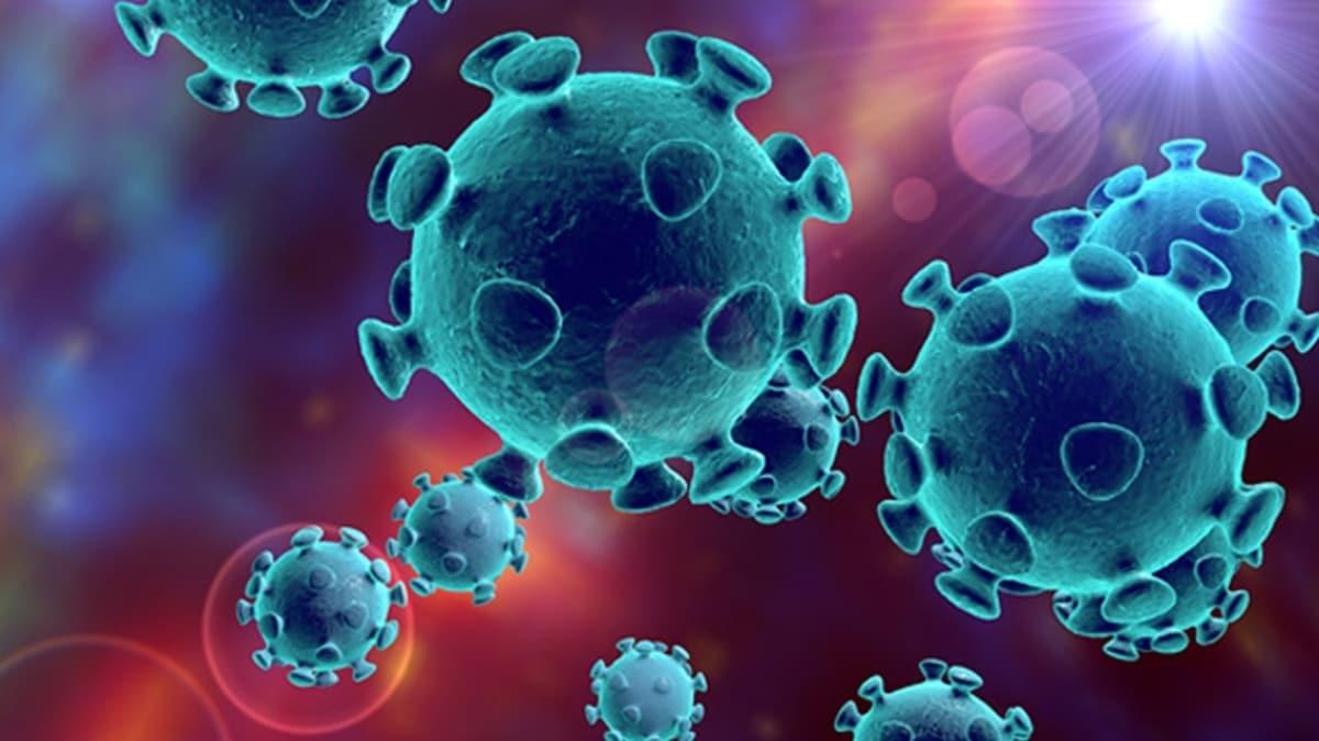 Trkiye'de koronavirs kalc olarak temizleyen endstriyel rn gelitirildi