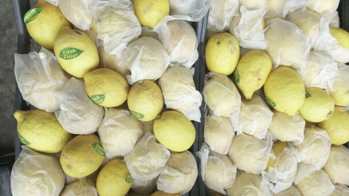 Resmi Gazete'de yaymland: Limon ihracat n izne baland