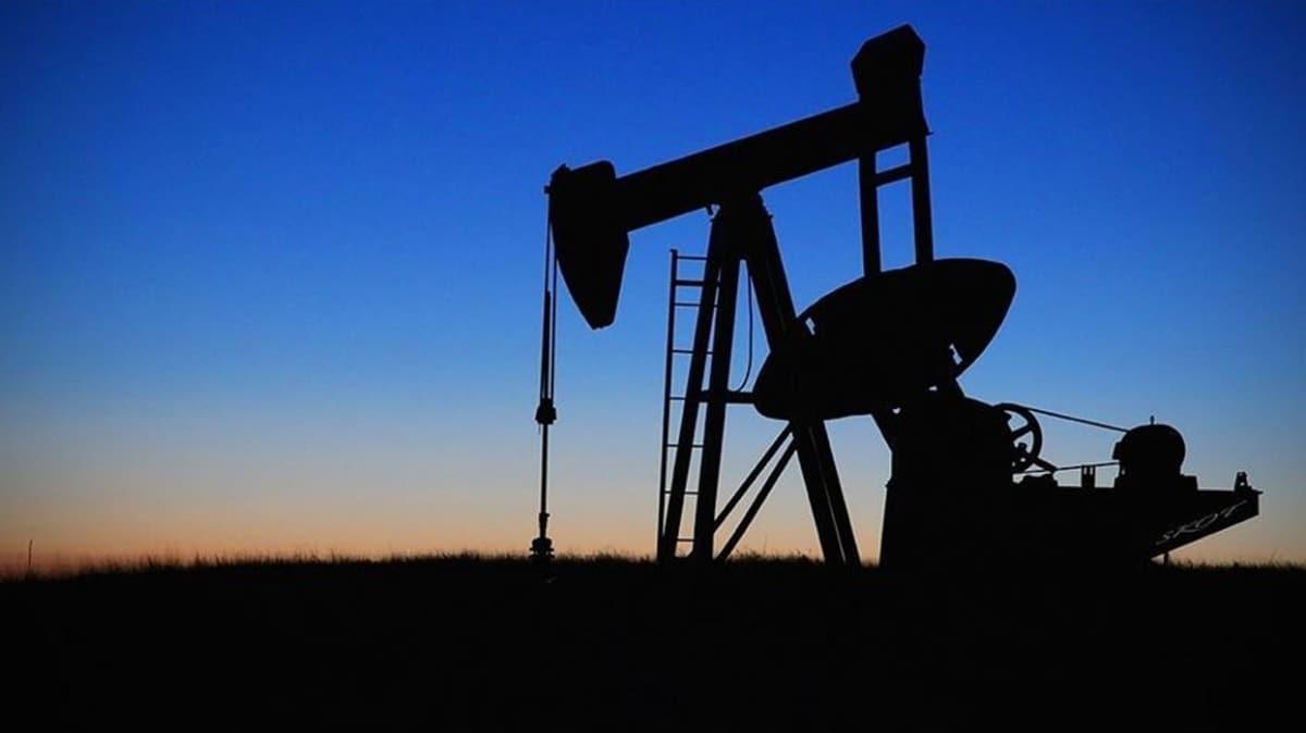 Rusya petrol üretimini yüzde 14 azaltmaya hazır iddiası