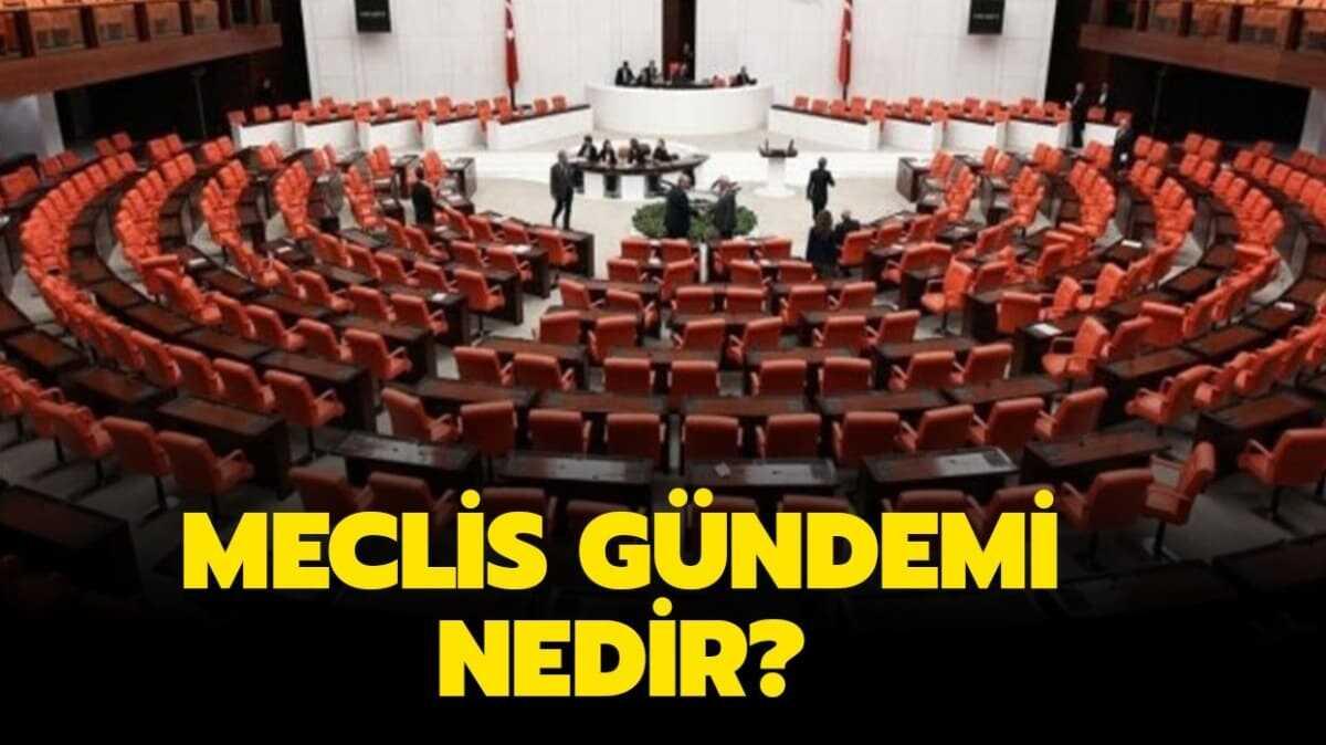 Meclis gndemi nedir" 