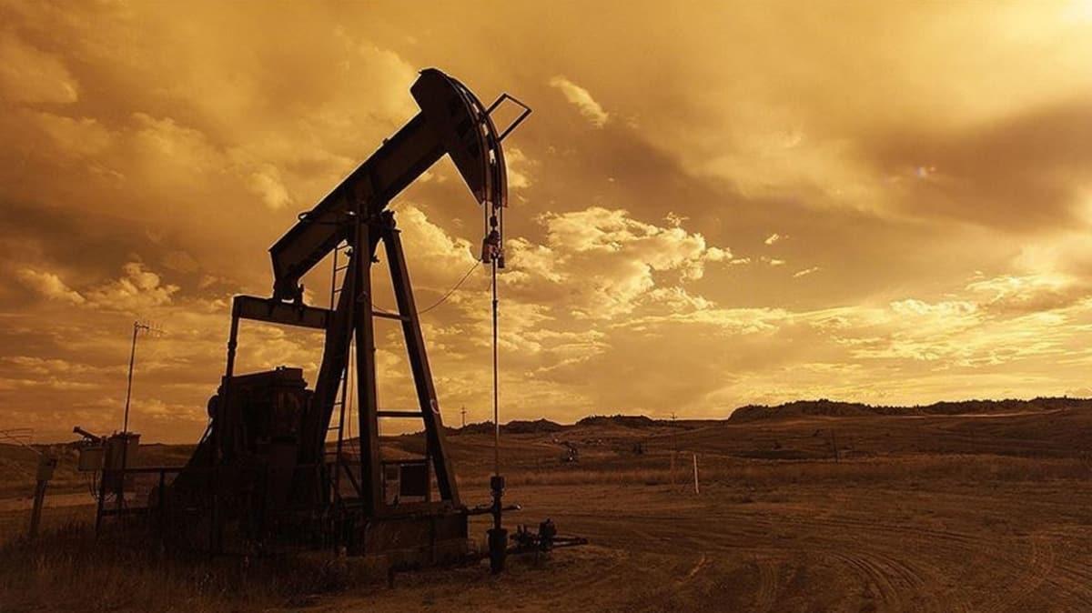 OPEC duyurdu: Kresel petrol stok kapasitesi maysta dolabilir