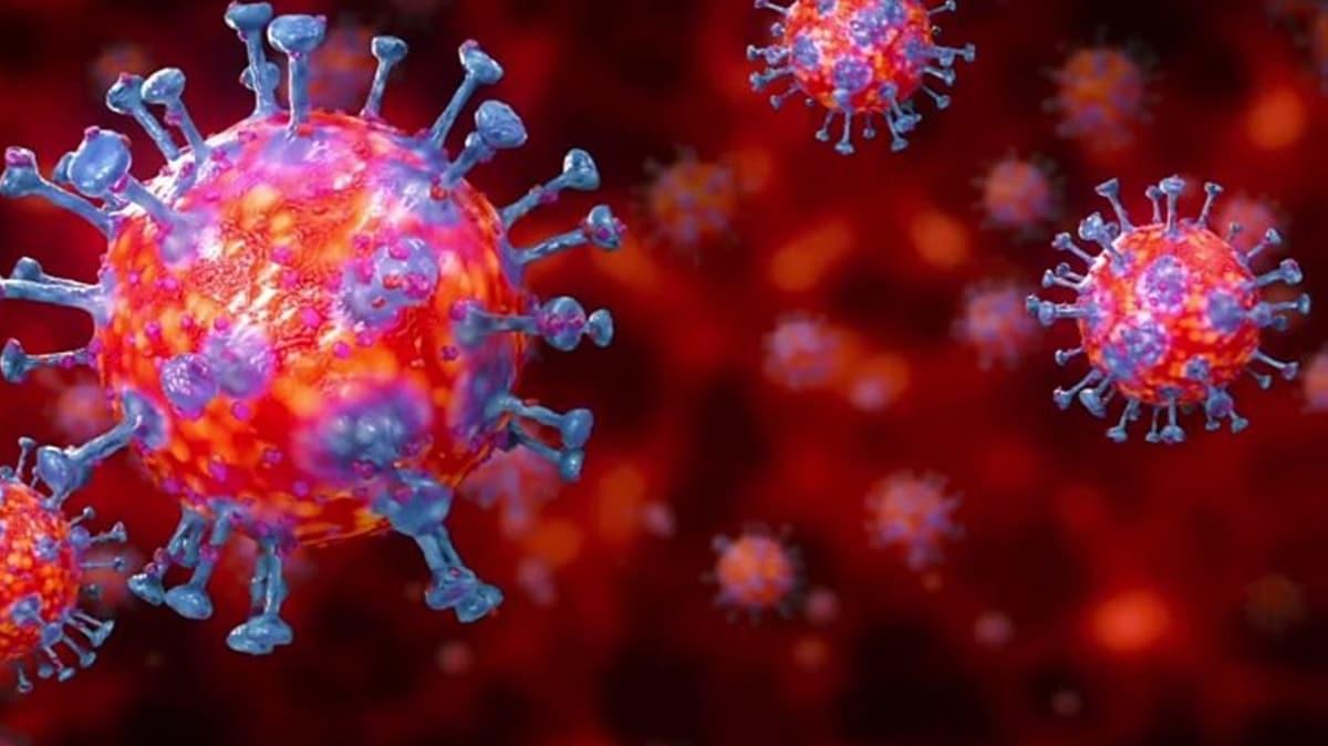 Hong Konglu bilim insanlarndan korkutan koronavirs iddias: Temmuza kadar kontrol altna alnmas imkansz