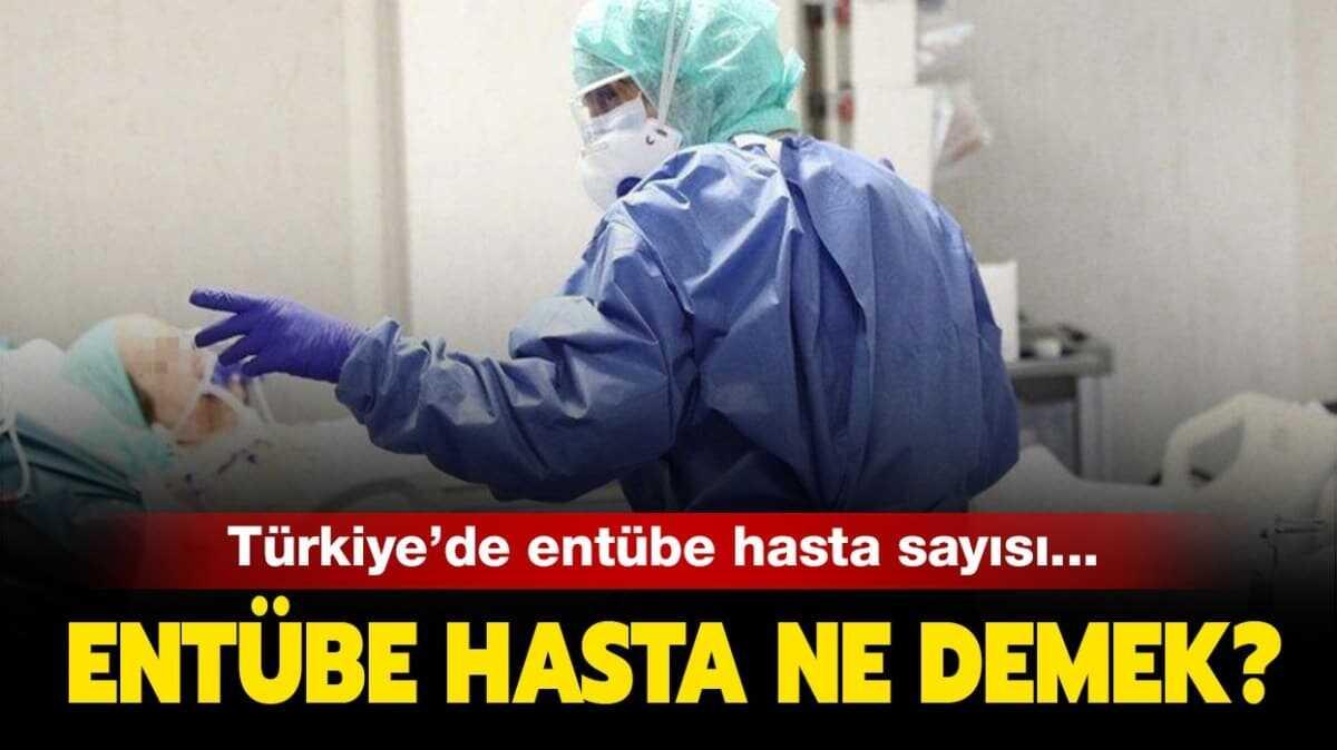 Entbe nedir"