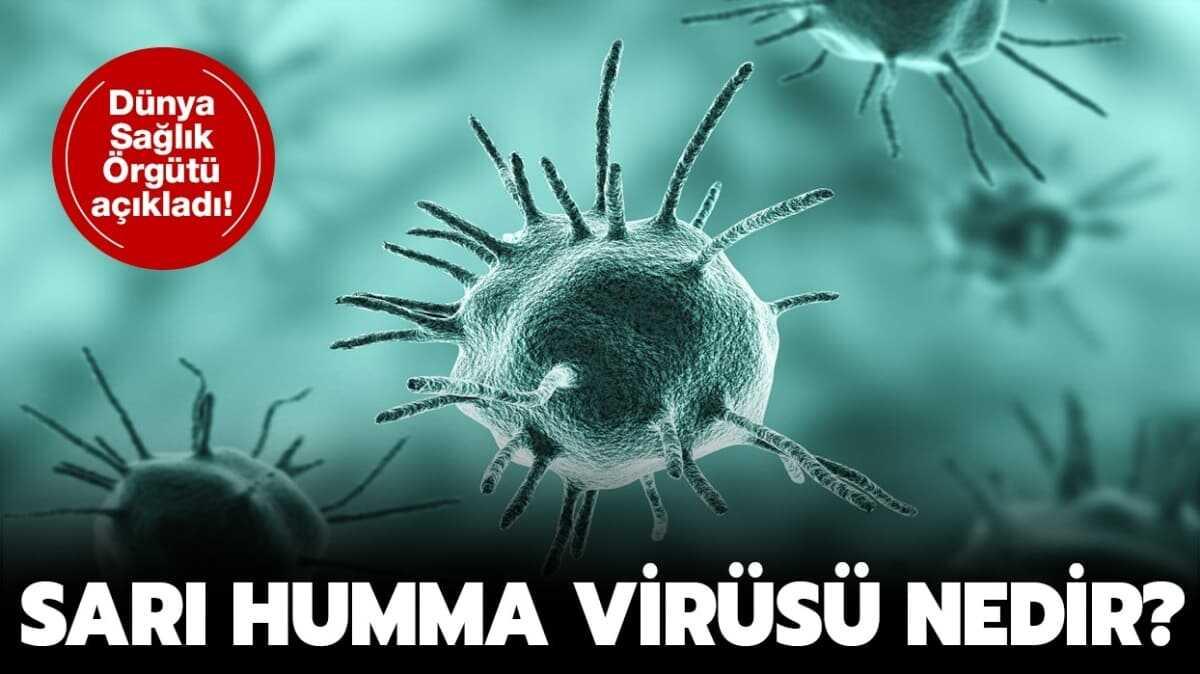 Sar humma virs nasl bular" 