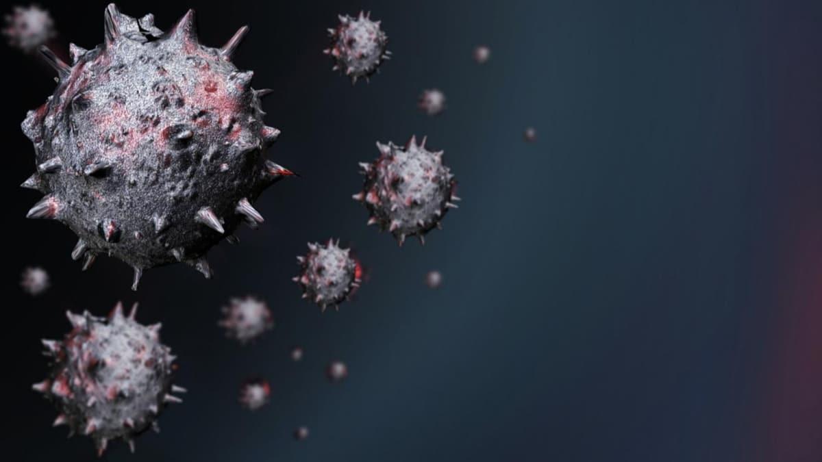 Fransz bilim insanlarndan kritik koronavirs uyars: Virs yksek scaklkta uzun sre yaayabiliyor