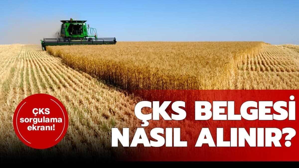 KS belgesi nasl alnr"