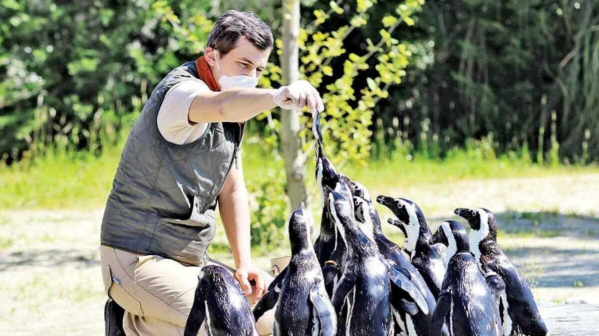 Can dostlarla kader birlii