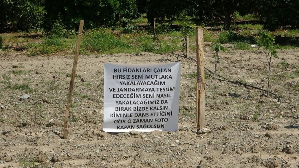 Adana'da tarla sahibi fidanlarn alan hrsza not yazarak uyarda bulundu