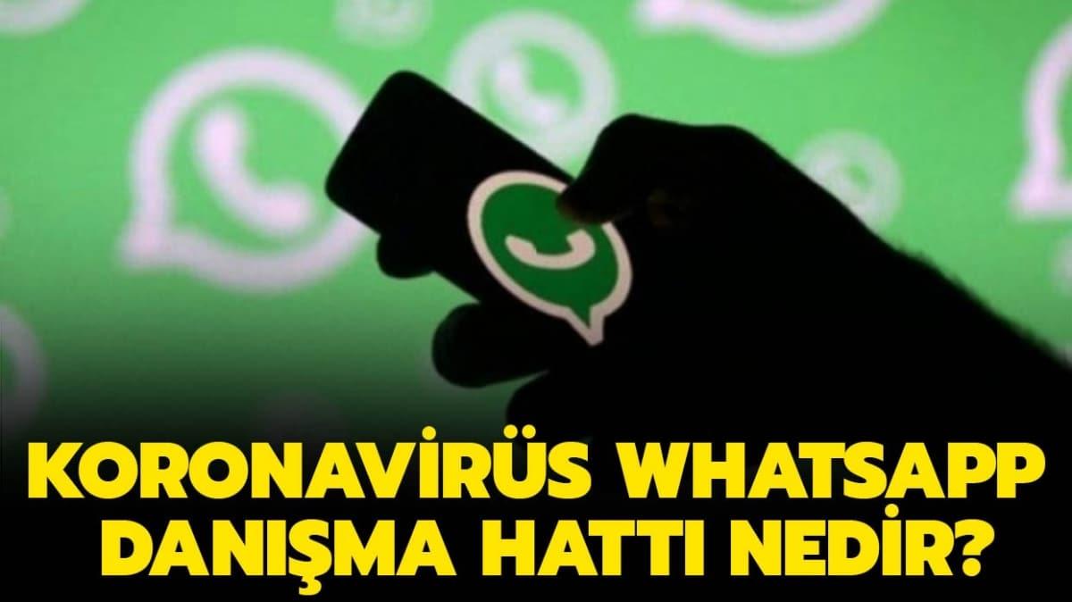Koronavirs WhatsApp Danma Hatt nedir"