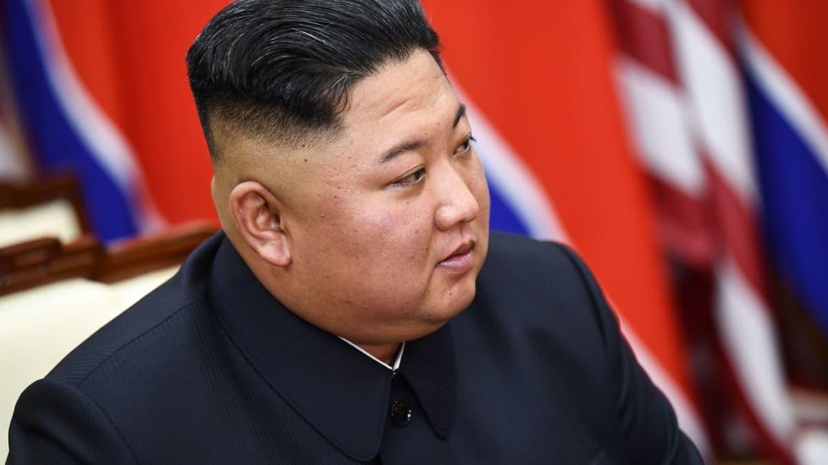 Japonya basn: Kuzey Kore lideri Kim Jong-un bitkisel hayatta