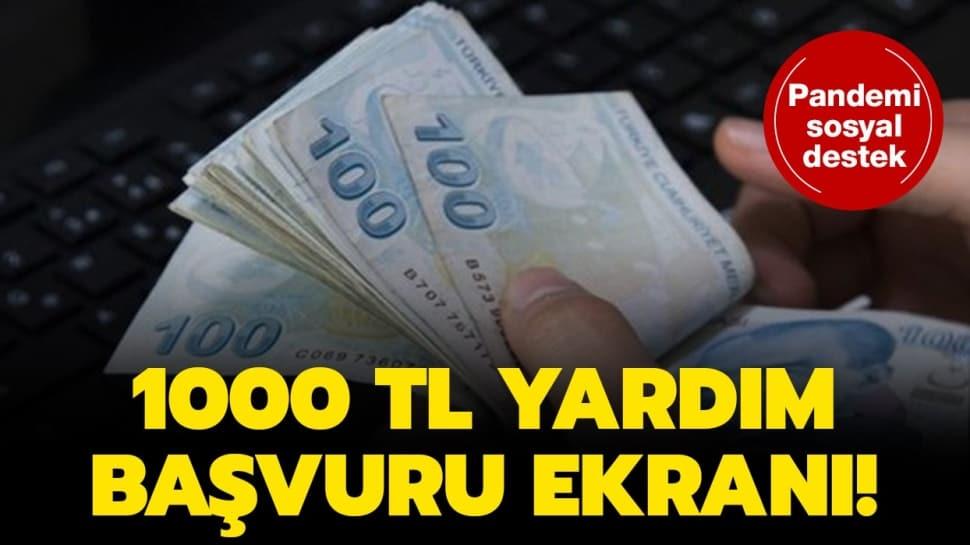 edevlet 1000 TL yardım başvurusu nasıl yapılır?