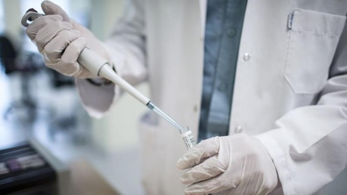 Fransa'da koronavirs hastalarnda plazma tedavisine izin verildi