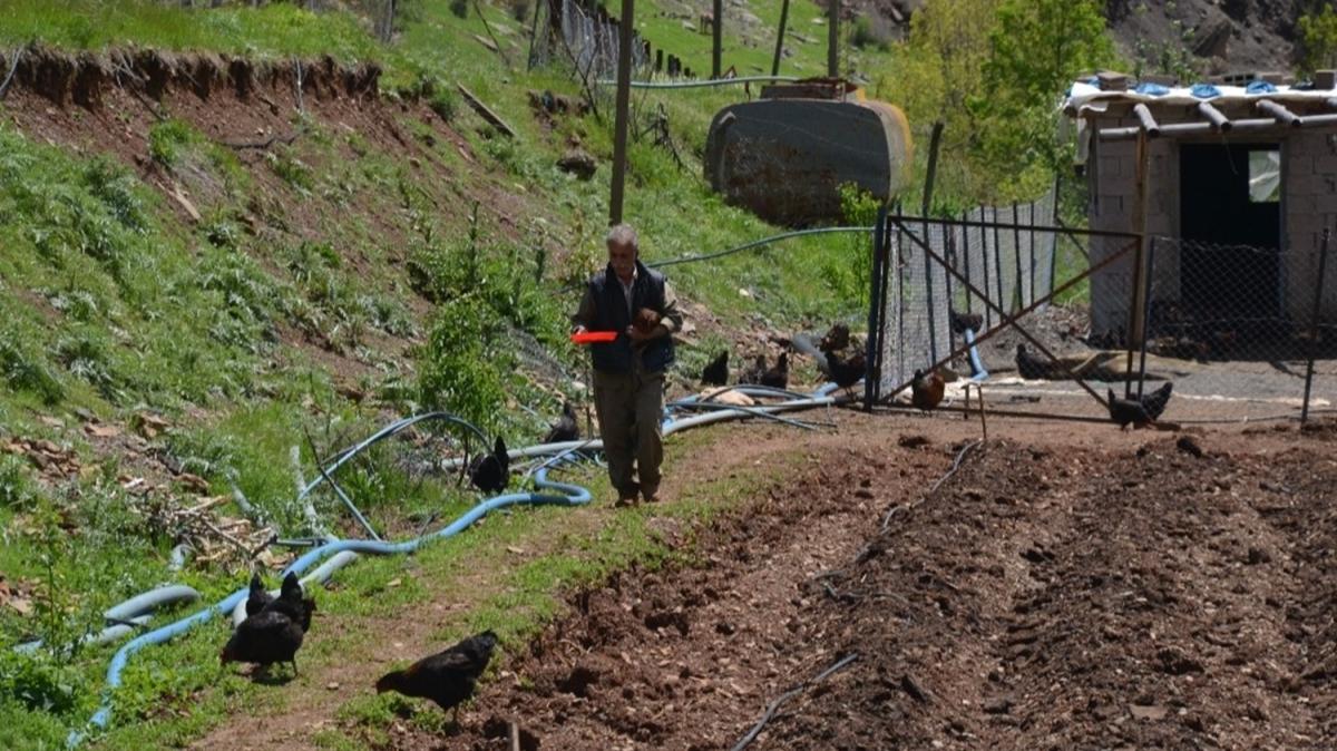 2 bin lira ile 200 tavuk ald, organik yumurta ailenin geim kayna oldu