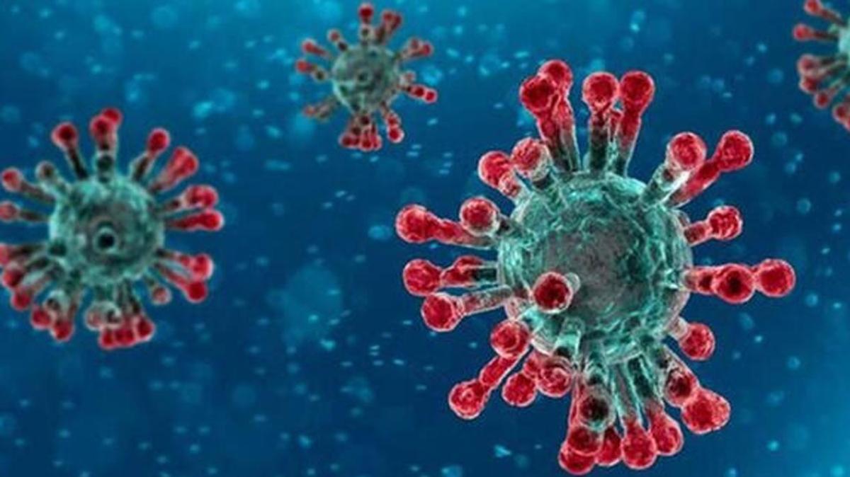 ABD'li uzmanlar: Mutasyona urayan koronavirs zayflyor olabilir