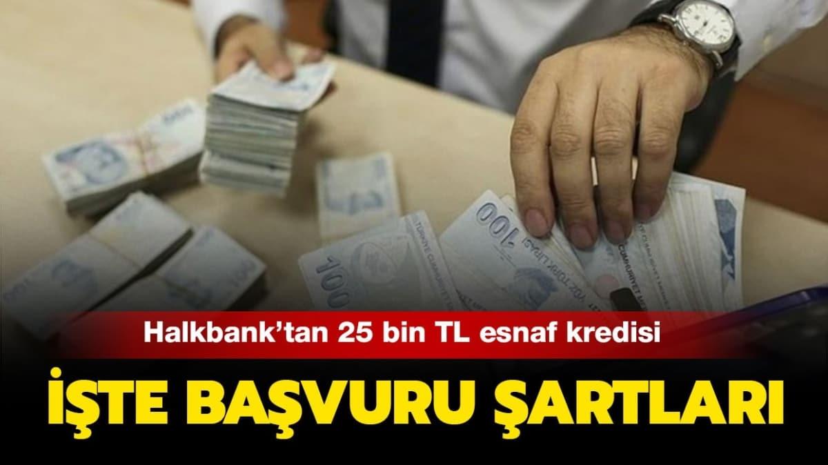 Halkbank'tan esnafa zel 25 bin TL kredi