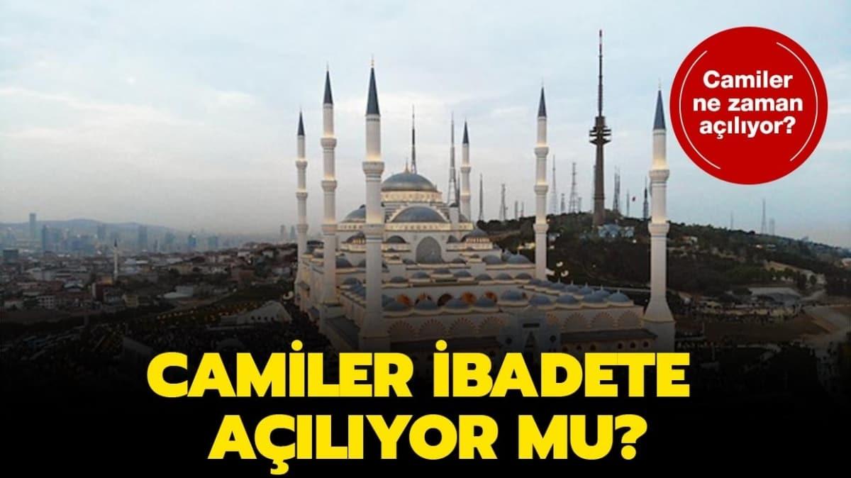 Camiler ne zaman alr"