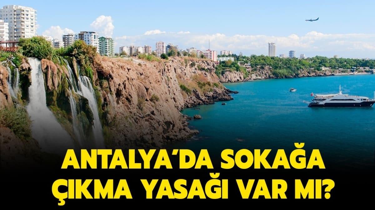 Antalya'da sokaa kma yasa kaldrld m" 